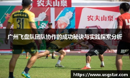 中欧体育网址